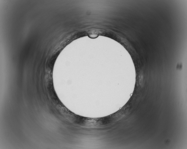 X0000114230521200911201112
