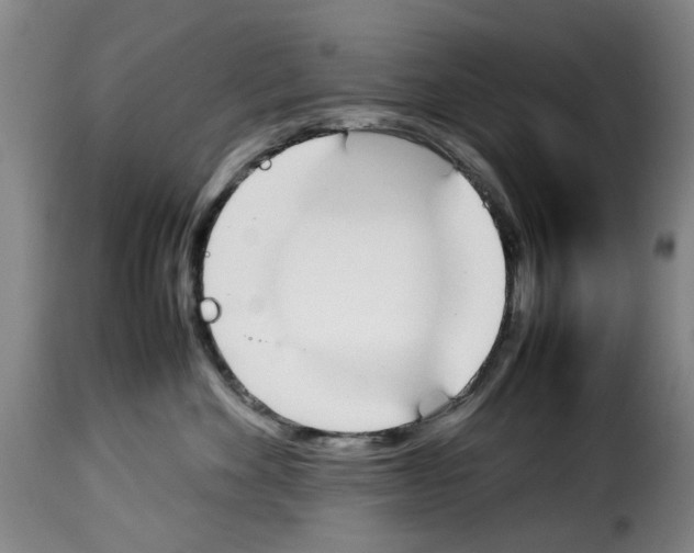 X0000114230524200911201112