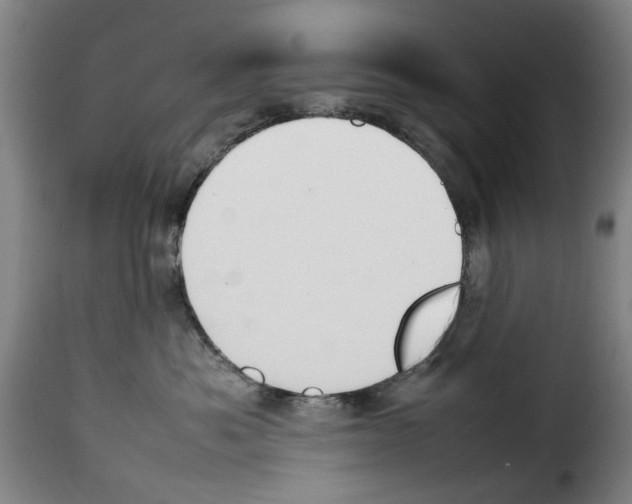 X0000114230525200911201112