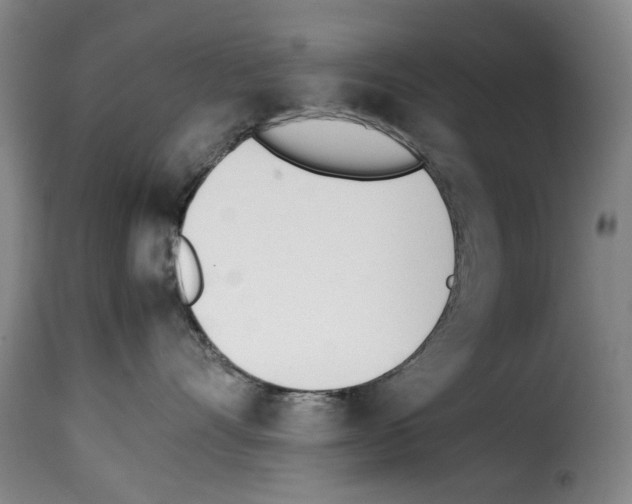 X0000114230528200911201112