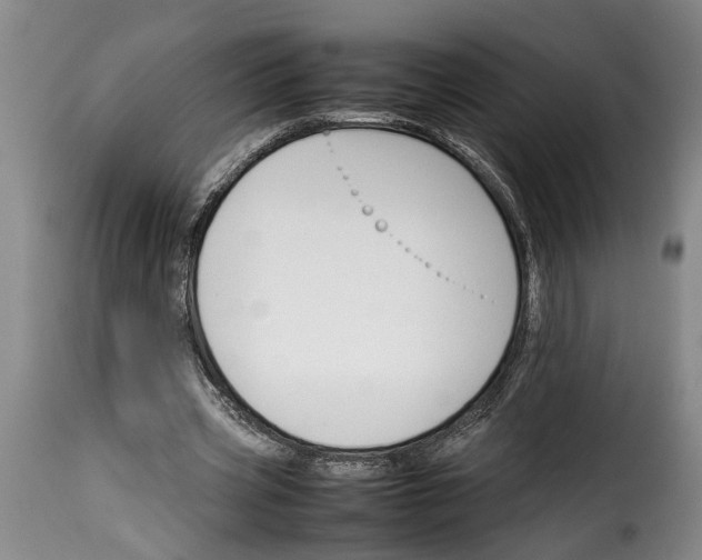 X0000114230533200911201112