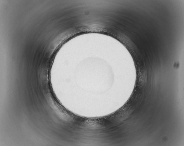 X0000114230534200911201112