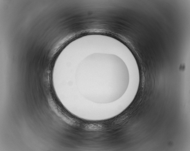 X0000114230535200911201112