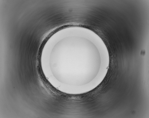 X0000114230536200911201112