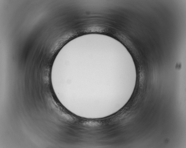 X0000114230537200911201112