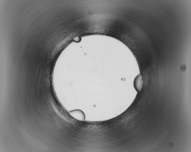 X0000114230538200911201112