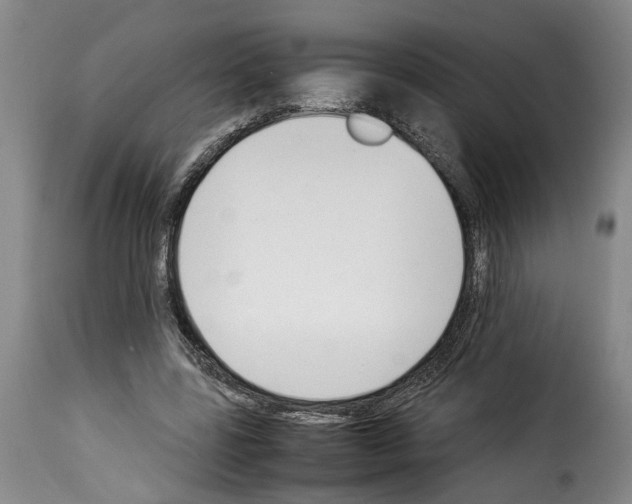 X0000114230539200911201112