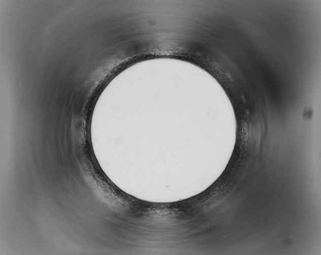 X0000114230540200911201112