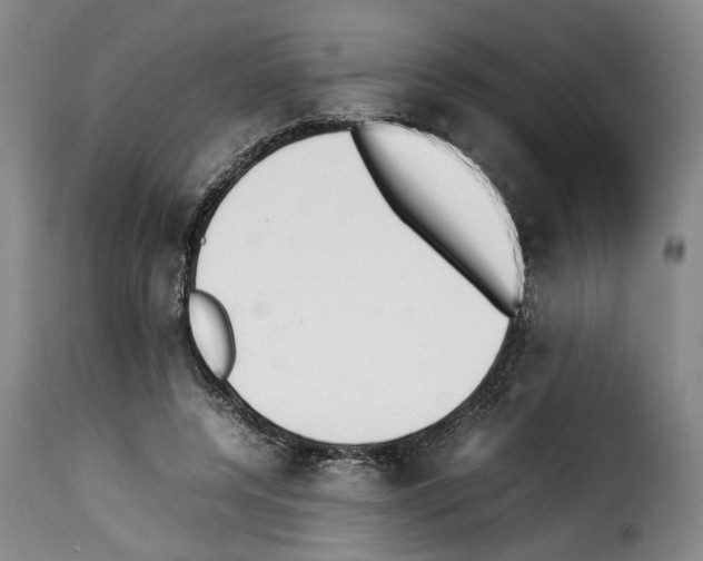 X0000114230544200911201112