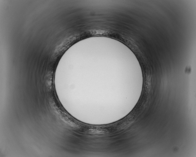 X0000114230545200911201112