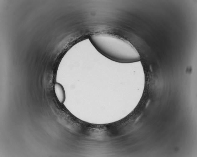 X0000114230548200911201112