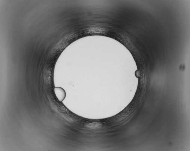 X0000114230551200911201112