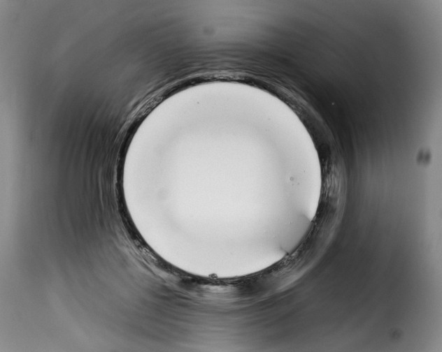 X0000114230552200911201112