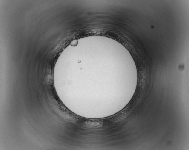 X0000114230553200911201112