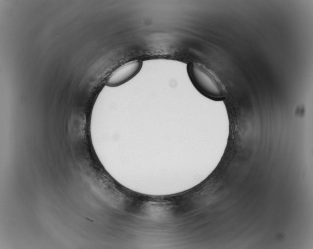 X0000114230556200911201112
