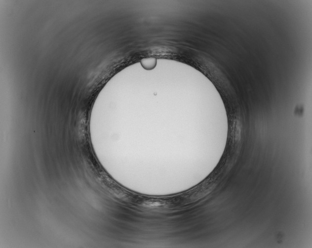 X0000114230557200911201112