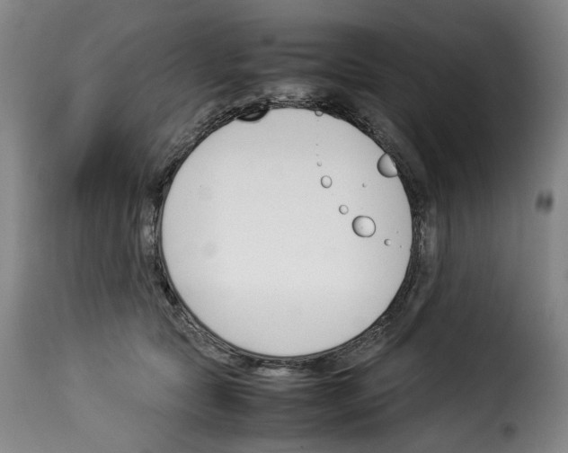 X0000114230561200911201112