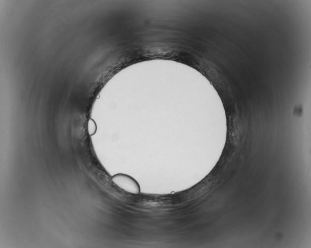 X0000114230563200911201112