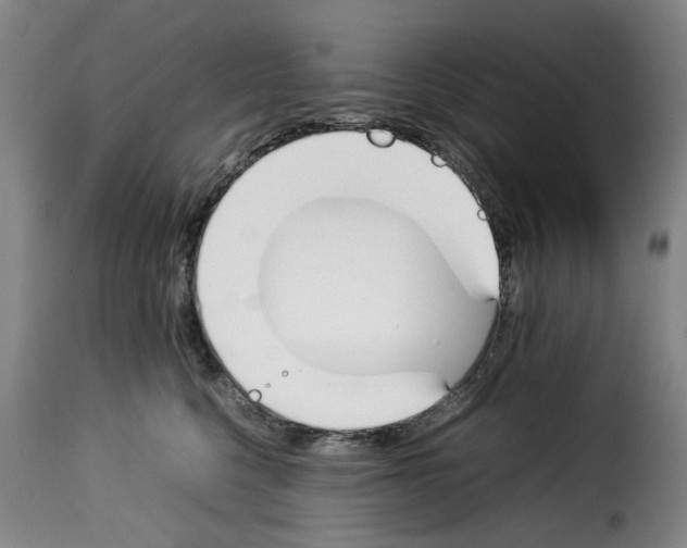 X0000114230568200911201112
