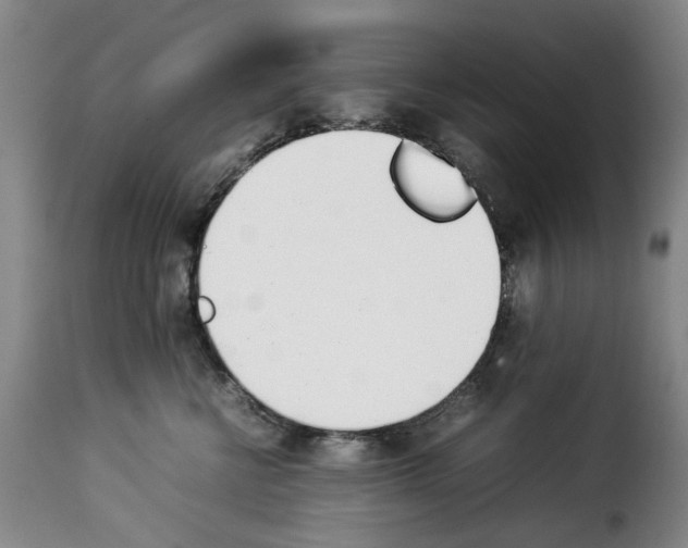 X0000114230570200911201112