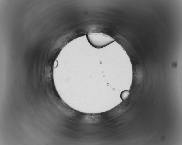 X0000114230571200911201112