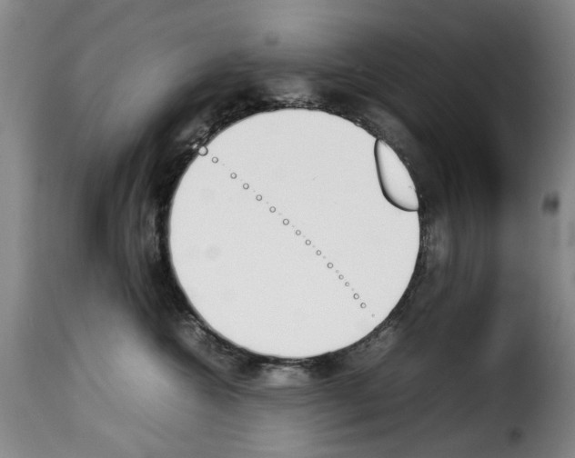 X0000114230572200911201112