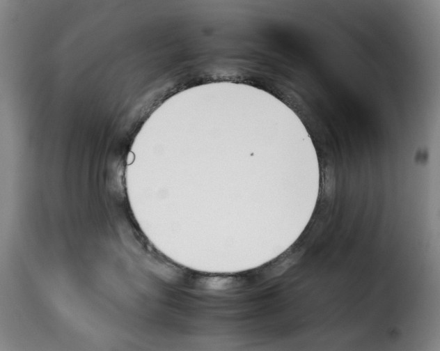 X0000114230575200911201112
