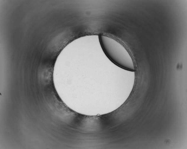 X0000114230576200911201112
