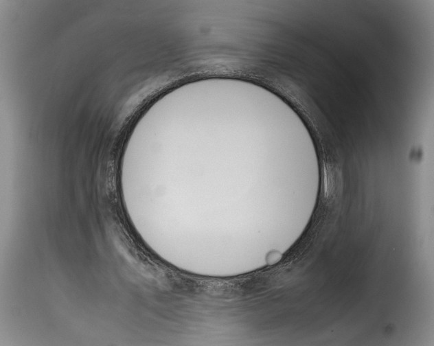 X0000114230579200911201112