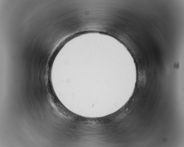 X0000114230580200911201112