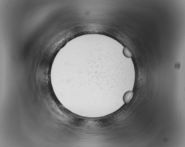 X0000114230585200911201112