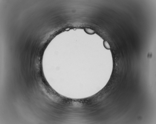 X0000114230592200911201111
