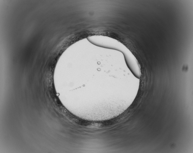 X0000114230609200911201111