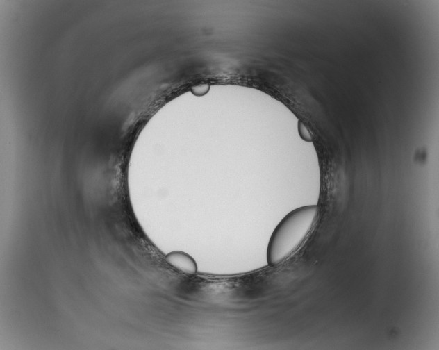 X0000114230611200911201111