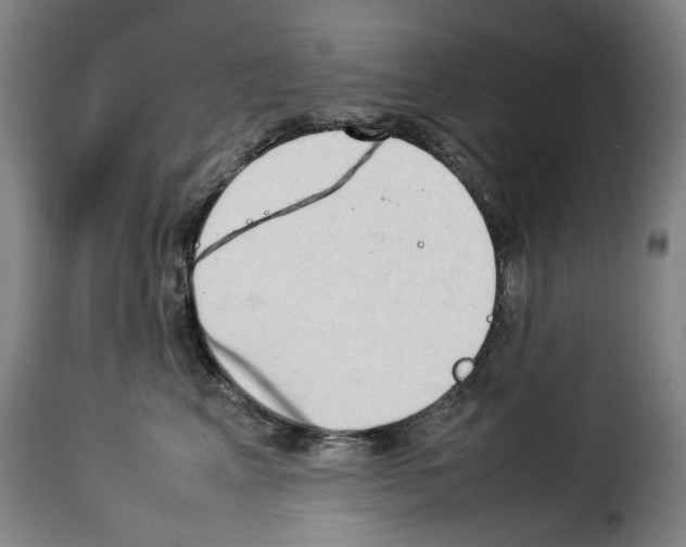 X0000114230617200911201111