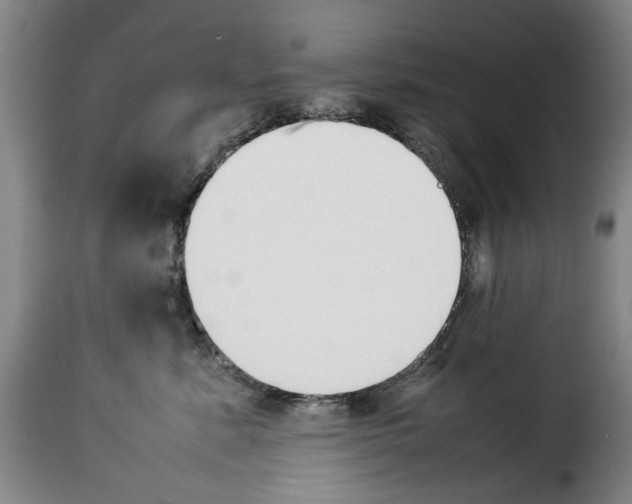 X0000114230619200911201111