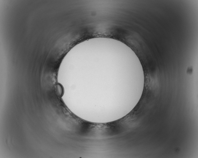 X0000114230621200911201111