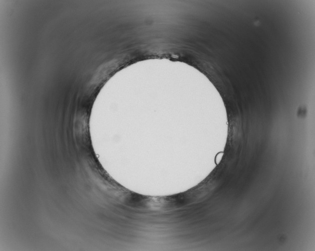 X0000114230623200911201111