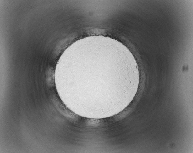 X0000114230624200911201111
