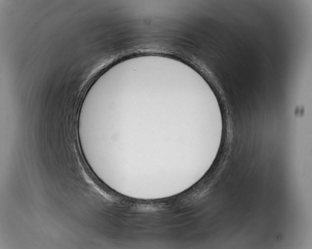X0000114230625200911201110