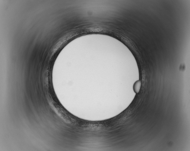 X0000114230626200911201110