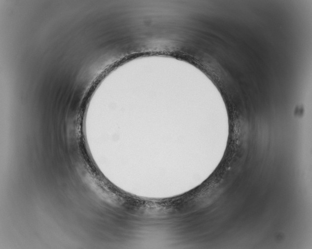 X0000114230632200911201110