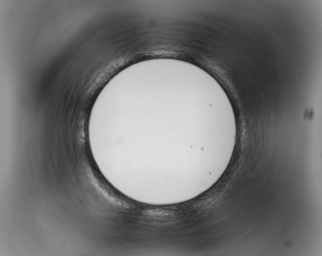 X0000114230633200911201110