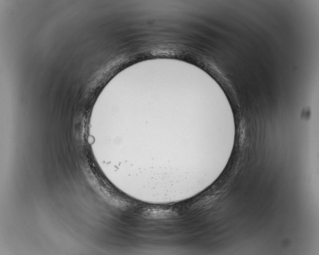 X0000114230637200911201110
