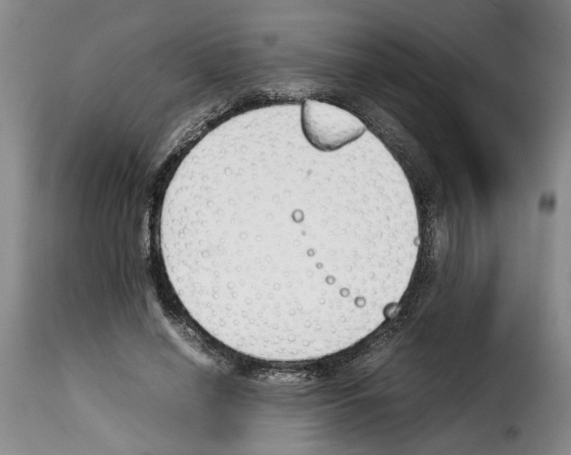 X0000114230638200911201110