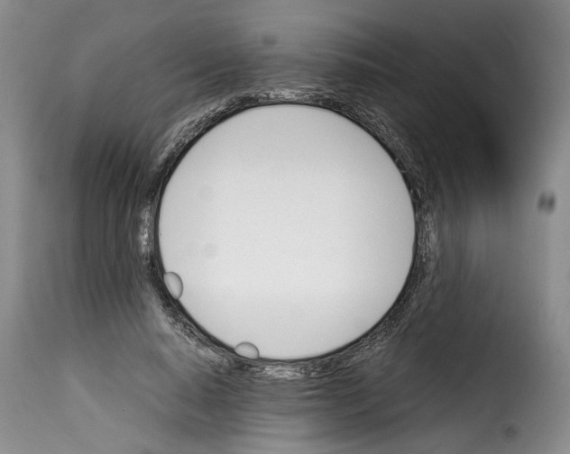 X0000114230640200911201110