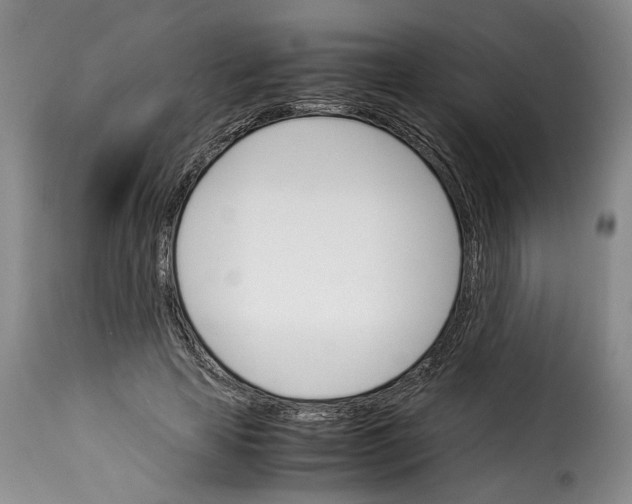 X0000114230641200911201110