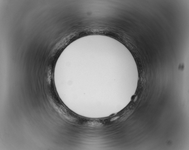 X0000114230644200911201110