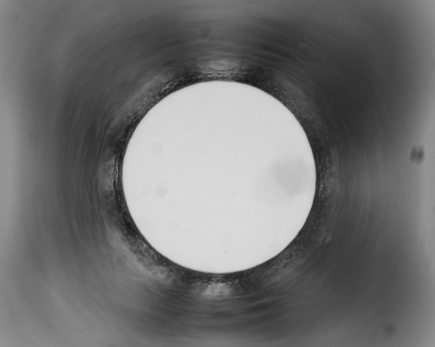 X0000114230647200911201110