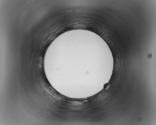 X0000114230649200911201111